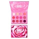 ABSOLUTE NEW YORK ROSE MUSE 12 COLOR MULTI FORMULA PALETTE 0.85 G X 12 MESP07