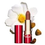 CLARINS JOLI ROUGE VELVET 784 PRALINE NUDE