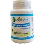 VERTUPLUS COLLAGENE MARIN + VITAMINE C 90 GELULE